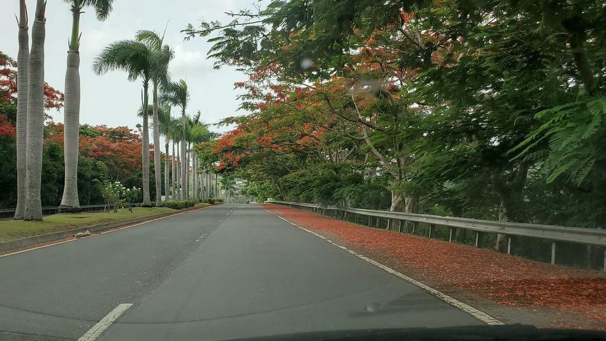 I am back home! PR looks as beautiful as ever!

Bello como siempre la isla.