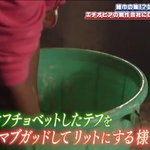 異世界の文章が続く…!相席食堂のテロップの意味が全く分からない!