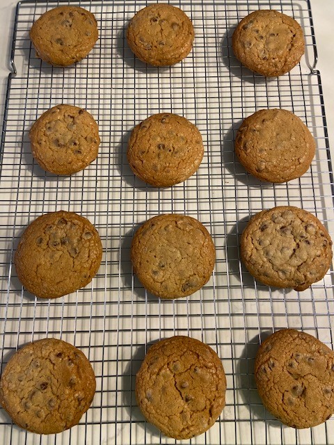 PinellasTech's tweet photo. Burt's been busy baking and graduating! Look at his delicious cookies, Cuban bread, and banana bread. Congratulations from Chef Rose and the rest of the PTC family on completion of the Baking & Pastry Arts program!
#PTCproud #PTCbaking #LearningContinues #RealMenBake https://t.co/xnL6Nqv6vX