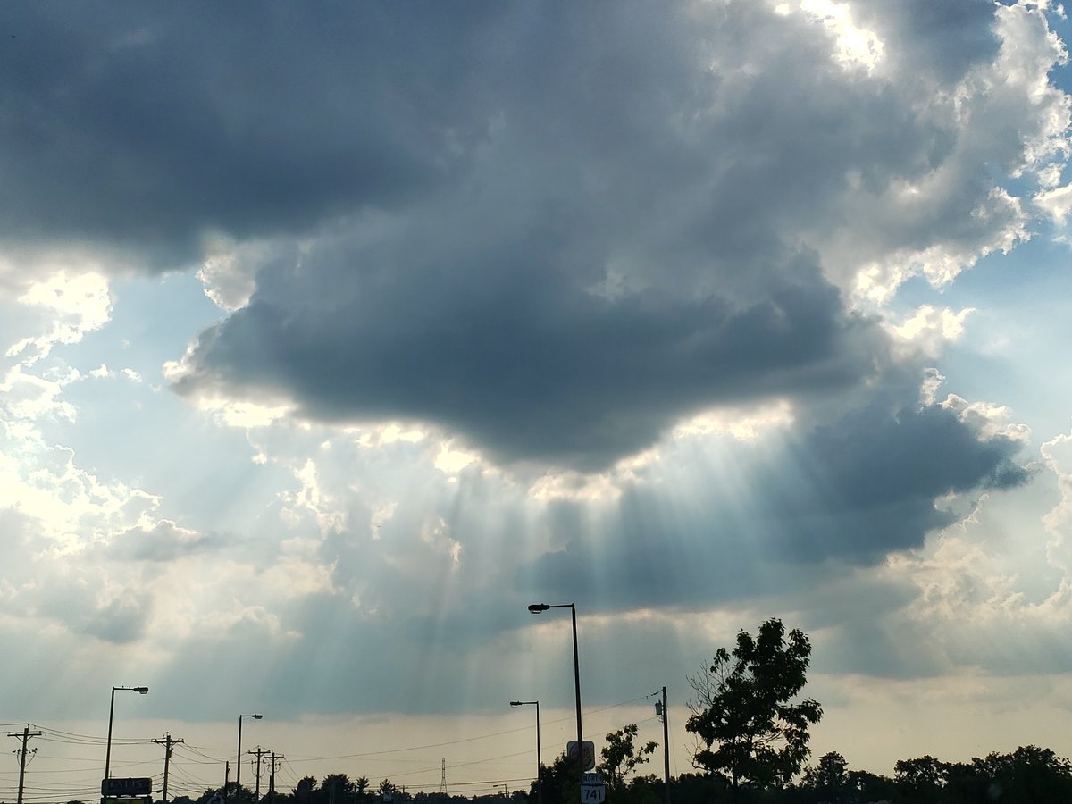 SetHerselfFree's tweet photo. This came right after the heaviest rain fall I had experienced since California, and it felt so incredible. It felt like a smile. https://t.co/k2gTGxZ418