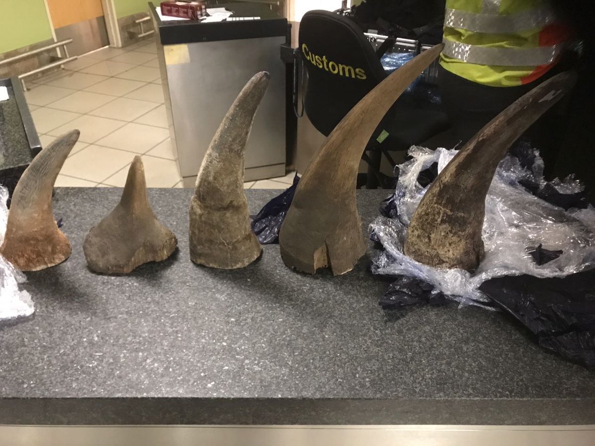 simonbloch1's tweet image. Shipping agent arrested, scheduled to appear in court tomorrow 
following R3million rhino horn seizure in Johannesburg.
facebook.com/27664079905714…
