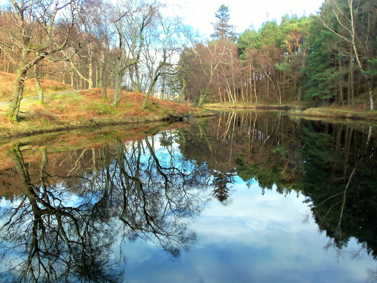 StanLeigh18's tweet photo. #LakeDistrict - #Tarns, a short series - the third set

#LantysTarn &amp; #TheKeldas near Patterdale [January]
#FlouternTarn below #GreatBorne [May]
#InnominateTarn near #Haystacks [June]
#HighNookTarn taken on route to #GavelFell [March]

#LantysTarn named after Lancelot Dobson https://t.co/O1k2d4dBYF