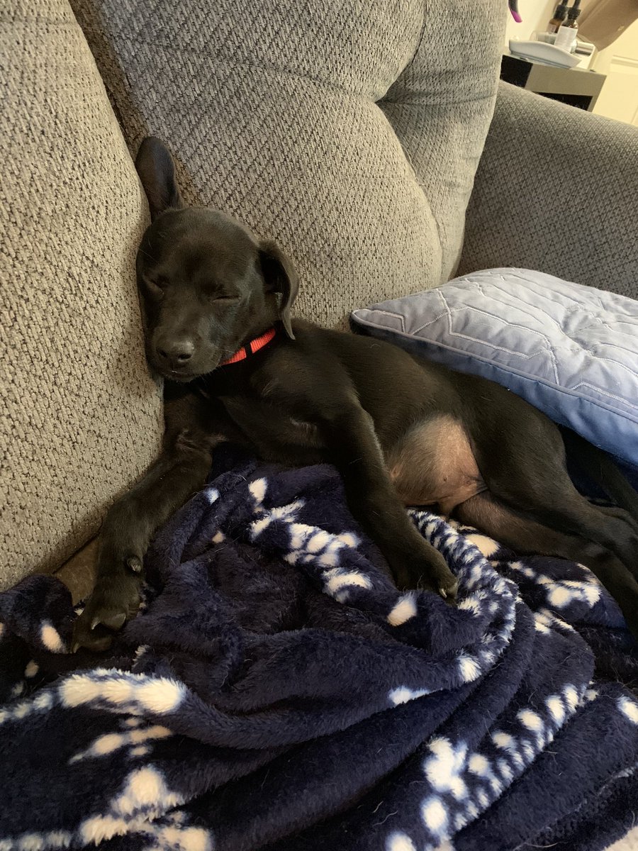 Victoria_Rose_3's tweet photo. Took my own advice... everyone meet my son, Charlie 💜 https://t.co/j05Sk7dLBf