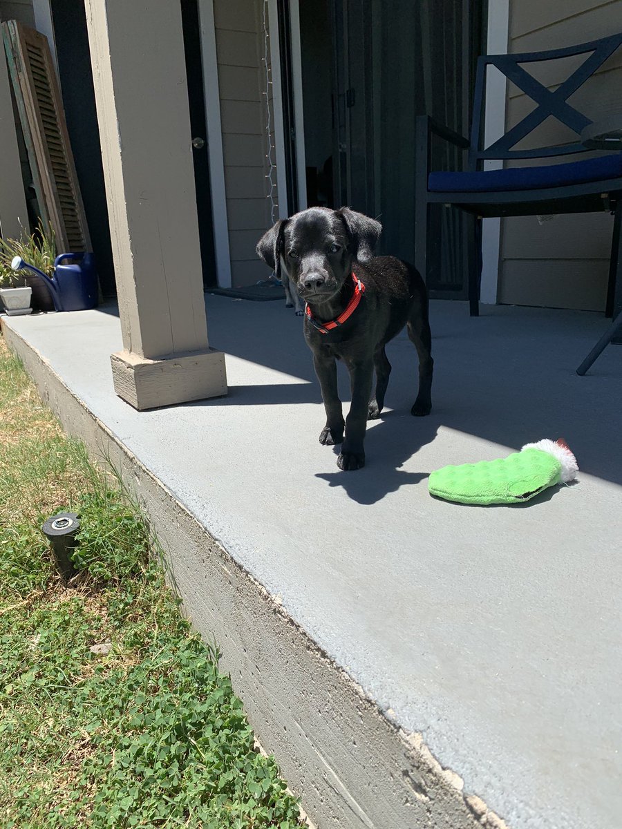 Victoria_Rose_3's tweet photo. Took my own advice... everyone meet my son, Charlie 💜 https://t.co/j05Sk7dLBf