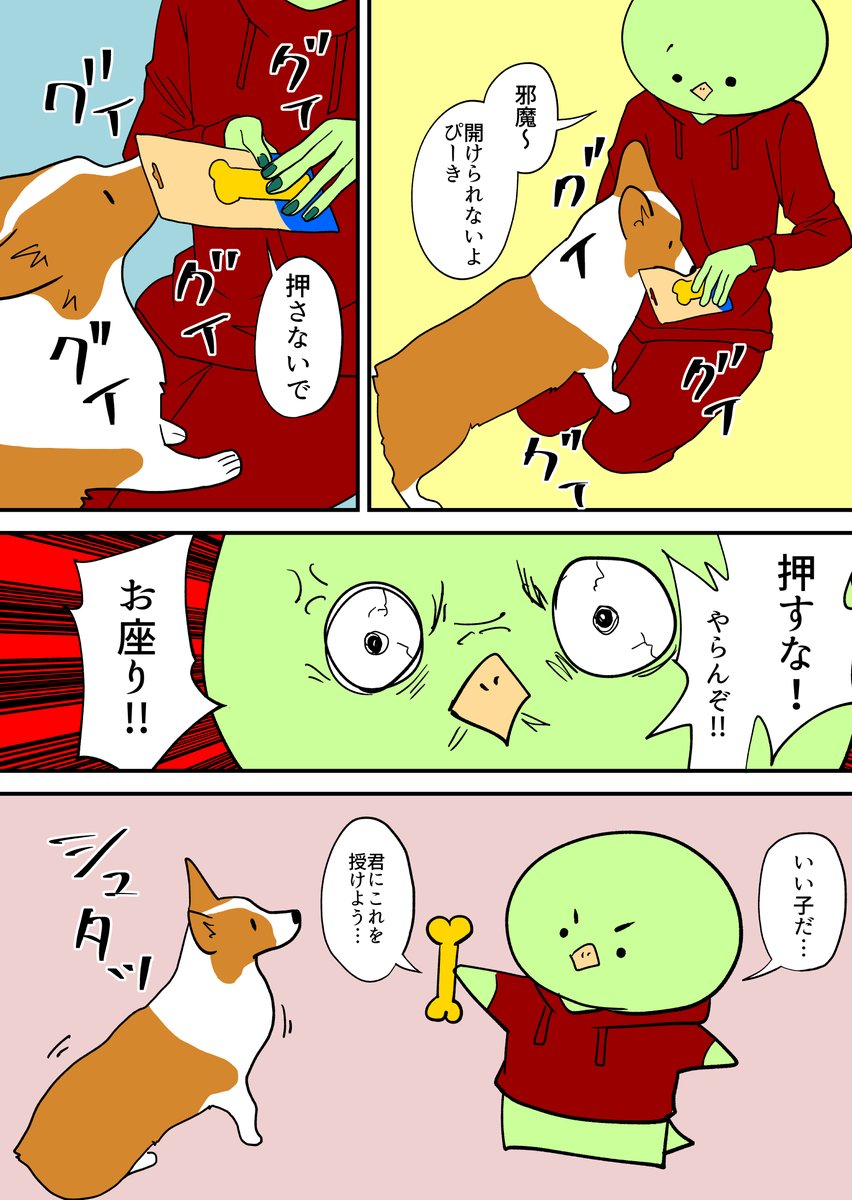 コーギーに骨を授ける 
