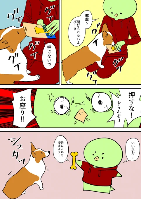 コーギーに骨を授ける 