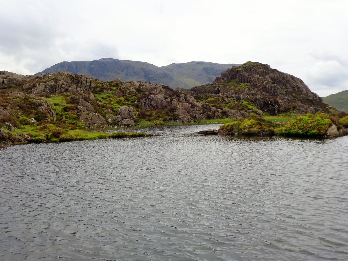 StanLeigh18's tweet photo. #LakeDistrict - #Tarns, a short series - the third set

#LantysTarn &amp; #TheKeldas near Patterdale [January]
#FlouternTarn below #GreatBorne [May]
#InnominateTarn near #Haystacks [June]
#HighNookTarn taken on route to #GavelFell [March]

#LantysTarn named after Lancelot Dobson https://t.co/O1k2d4dBYF