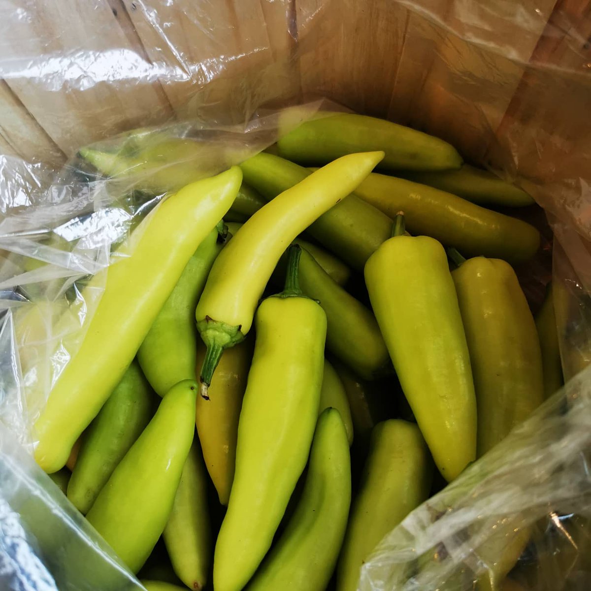 CrossroadKafe's tweet photo. If you are in #ChristiePits area stop by at Crossroad Kafe, 262 Christie street. We've got fresh organic veggie from family run #organicfarming in King City. We've got beets, zucchini, hot peppers, tomatos, green beans, potato, potted herbs. #Toronto https://t.co/uN7QKhBtdO