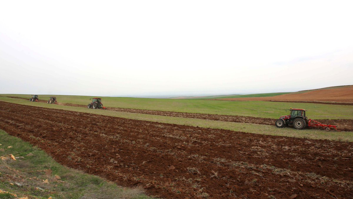Yılmaz Büyükerşen