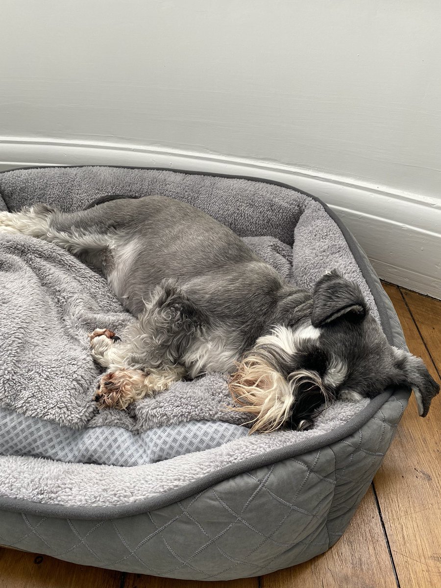 Kerry1511's tweet photo. @MikeBakerMedia Meanwhile, someone over here doesn’t care less that I am! https://t.co/gjRV0ZfAA5