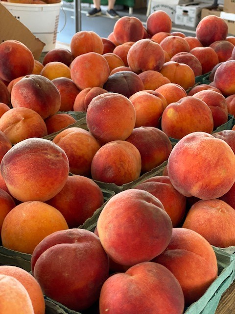 NCAgriculture's tweet photo. Our State Farmers Market was looking good this past weekend with many  fresh fruits, vegetables &amp; meat products! From peaches to tomatoes, there's nothing better than in-season produce found at a local farmers market. Stop by today and stock up today! #EatLocal #NCAgriculture https://t.co/NOF5OtMUoK