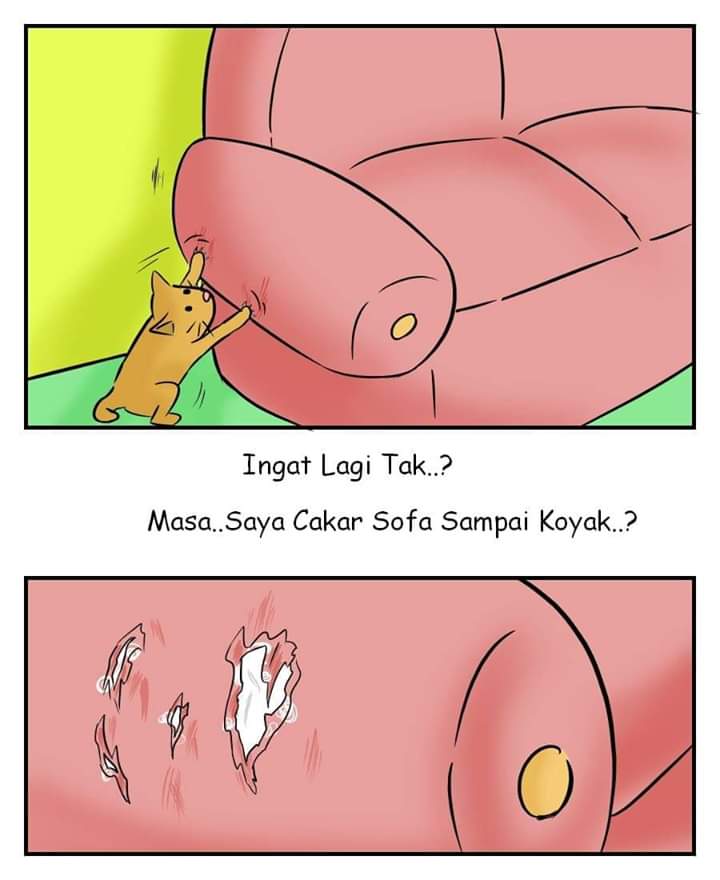 adwahafizi's tweet photo. Yang pernah merasa je akan faham, dia punya remuk tu tuhan saja yg tahu😌 https://t.co/Q1uZ3bSFLf