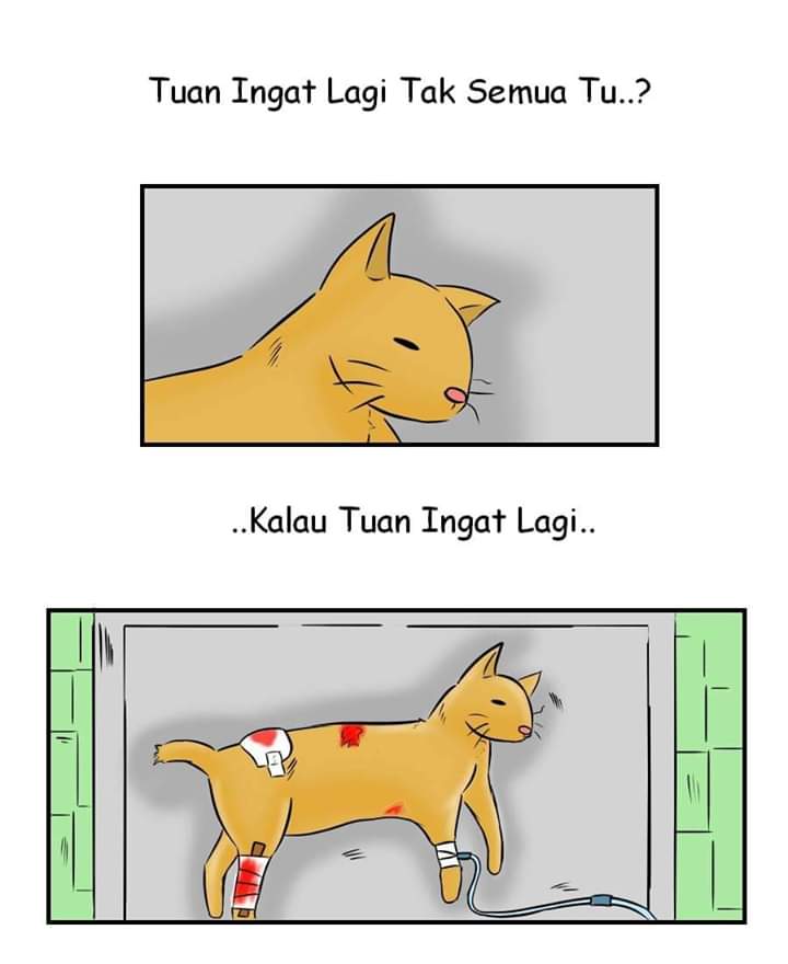 adwahafizi's tweet photo. Yang pernah merasa je akan faham, dia punya remuk tu tuhan saja yg tahu😌 https://t.co/Q1uZ3bSFLf