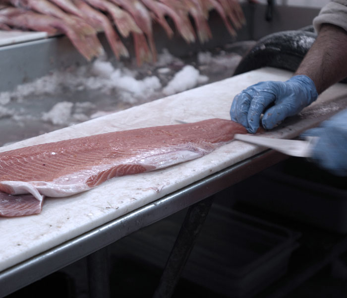 FOSS_Americas's tweet image. Are you getting the right price for your fish products? Measuring quality parameters in raw and processed fish meat products ensures that you meet end-product declarations. ow.ly/IMdJ50Azq84

#fishanalysis #fishproduct #fish #pricedright #qualitycontrol