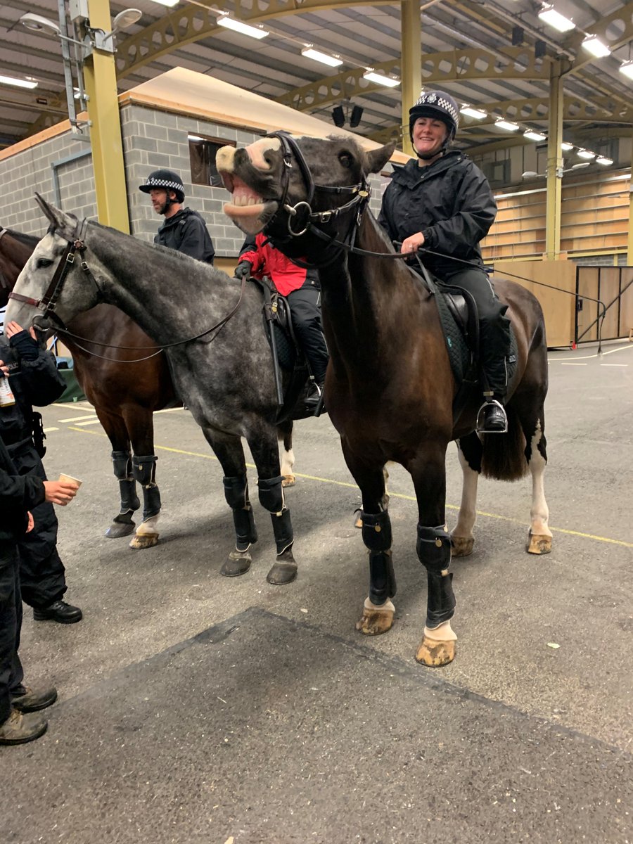 WYP_Specialist Operations Training (@wyp_opstraining) on Twitter photo We have recently collaborated with <a href="/WYPHorses/">WY Police Horses</a> who found time out of their busy schedule to support the training of initial and refresher Level 2 PSU, improving staff awareness of these essential tactics & raising standards. We look forward to working together again soon! We have recently collaborated with <a href="/WYPHorses/">WY Police Horses</a> who found time out of their busy schedule to support the training of initial and refresher Level 2 PSU, improving staff awareness of these essential tactics & raising standards. We look forward to working together again soon!