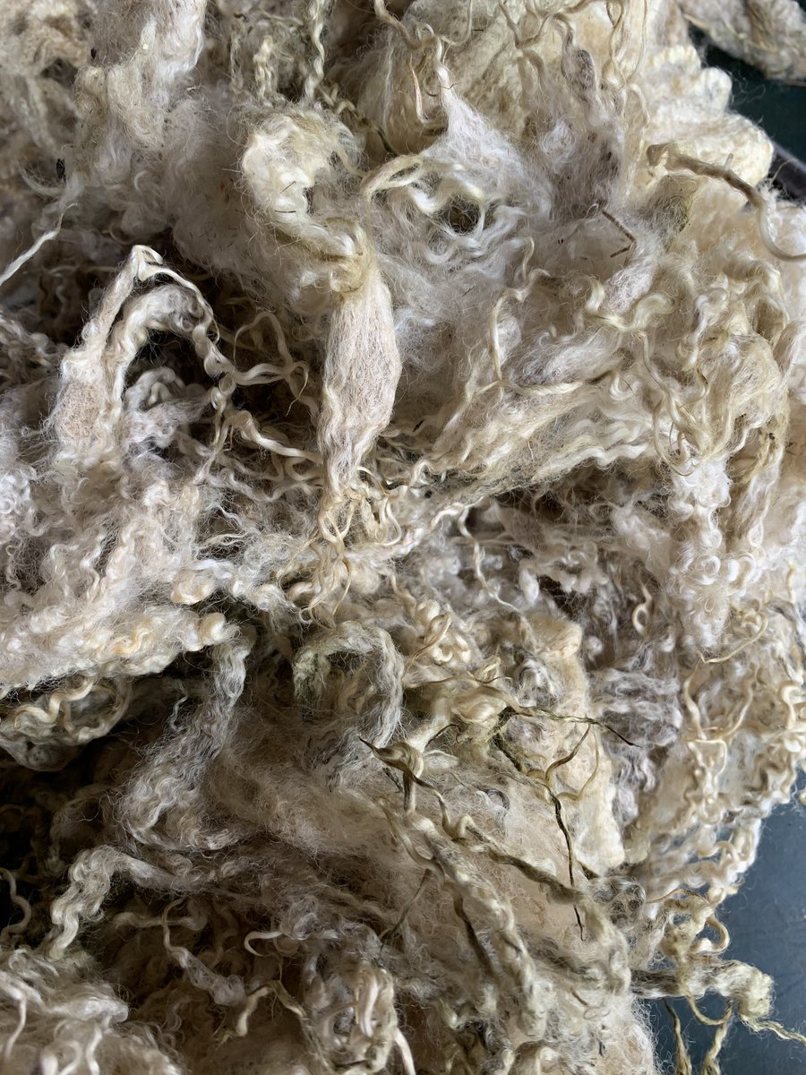 WearHerd's tweet photo. FLEECE - don’t you just want to dig your hands into it?! #bluefacedleicester #sustainablefashion https://t.co/eZFV4UYdDL