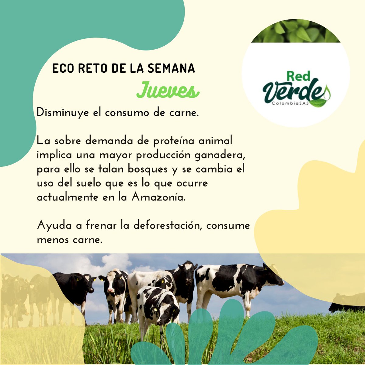 RedVColombia's tweet photo. ECOreto día 4: Una acción fundamental para la conservación de la vida humana y la biodiversidad. #RedVerdeColombia
#RedVCol https://t.co/4eOWbBYwrg