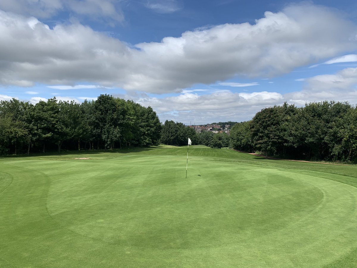 normantongc tweet picture
