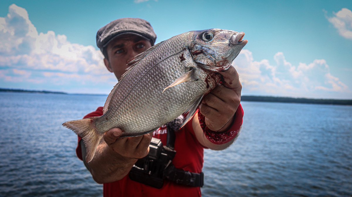 FishingGrubbZ's tweet photo. @Toucherandrich thanks for having me on today boys. These are the fish I was talking about. I’ll have the video up in a few days. You guys ever wanna hit the water and be on the show let me know. https://t.co/2Yn5UAKjYP