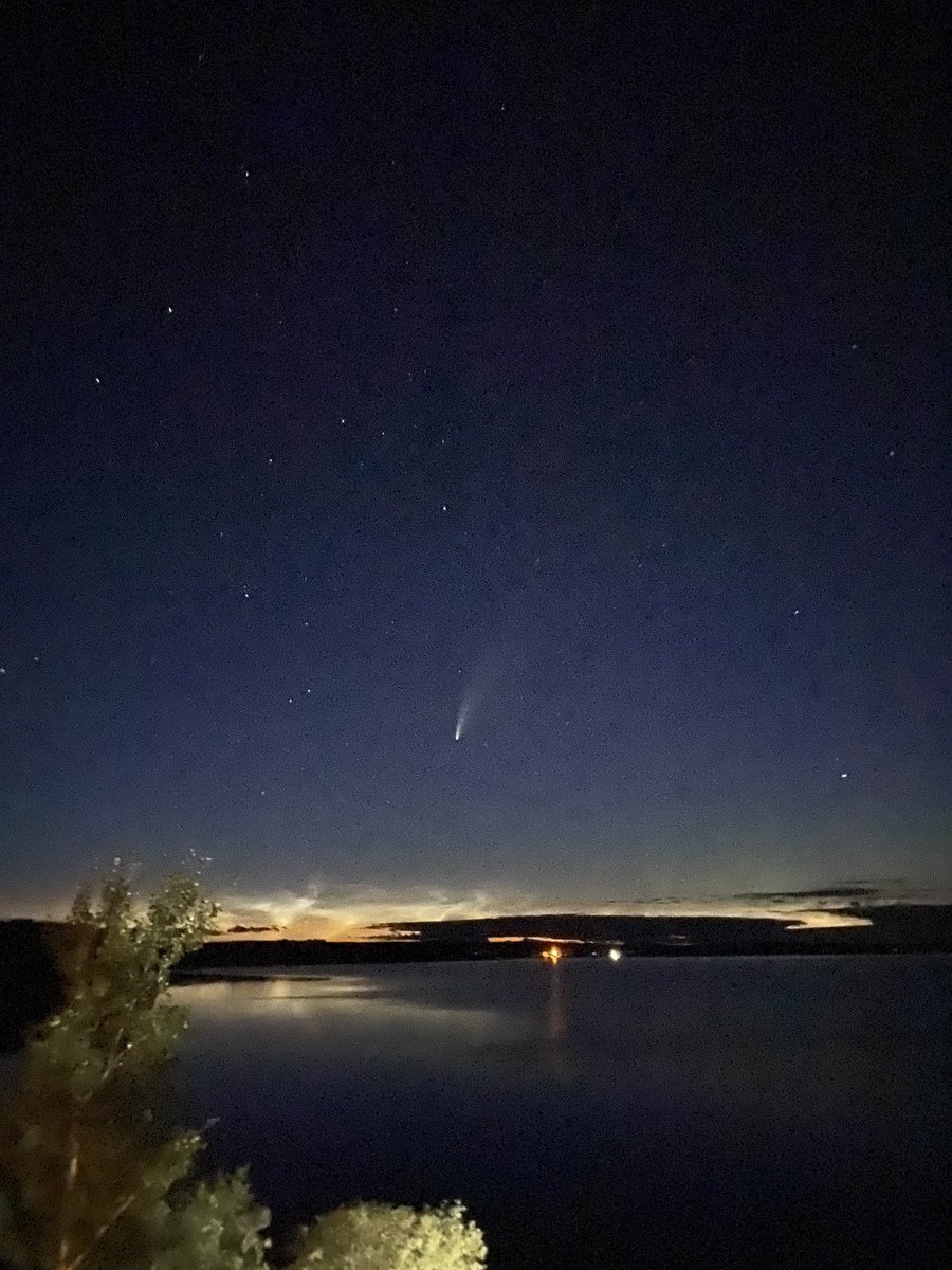 #neowise