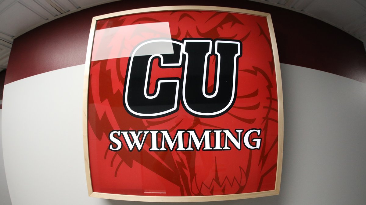 CUSwimTeam's tweet photo. Tiger and Lady Tiger swimming have 11 named @CSCAA Scholar All-Americans #WeAreCU 

📝➡️ https://t.co/lf7ZO7TYOa https://t.co/bztUQ9EUCg