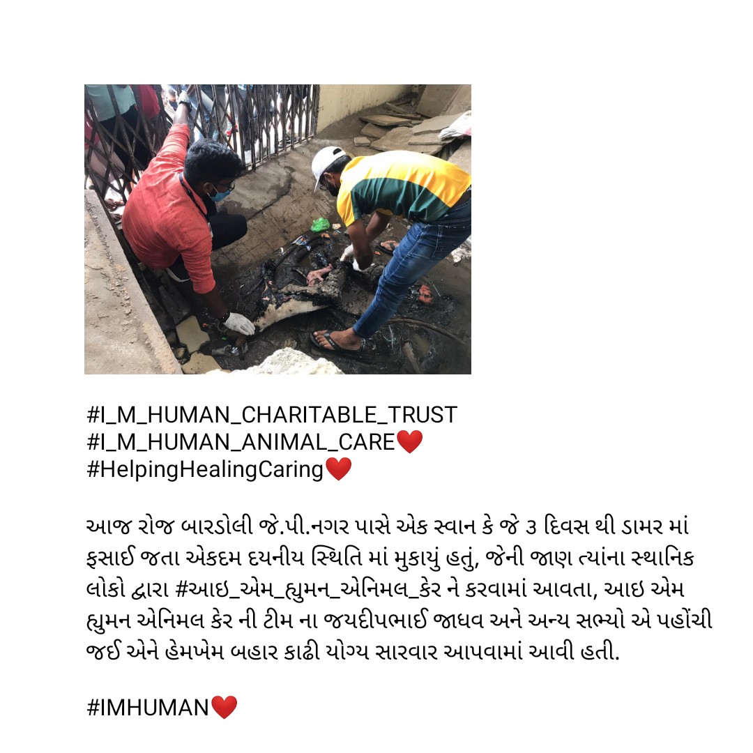 ChiragJ10634508's tweet photo. @iamhumanfounda1 @HardipPatel11 @im_StarM @Sumit00143  #helpeverhurtnever❤️ https://t.co/N0qsIfhlIT