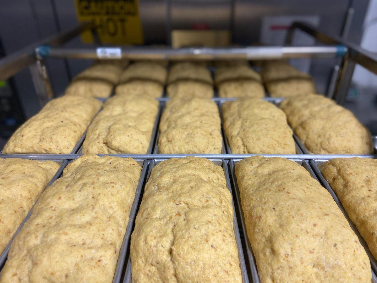 OliverFriendly's tweet photo. Our breads fit into just about any diet! With zero gluten, zero added sugars, and only 3 carbs per slice, our loaves stand out on grocery store shelves as a delicious and nutritious bread.
#enjoybreadagain #glutenfree #noaddedsugar #lowcarb #celiacfriendly #paleo #keto #healthy https://t.co/GlTGGQ3CSm