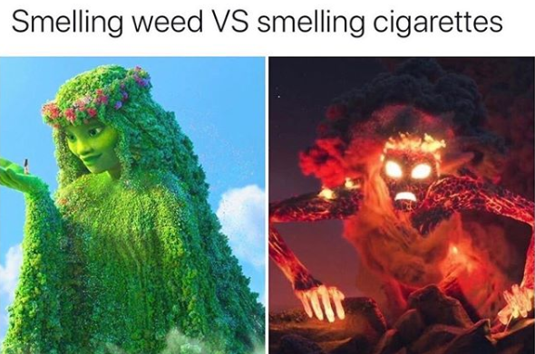 🍁>🚬