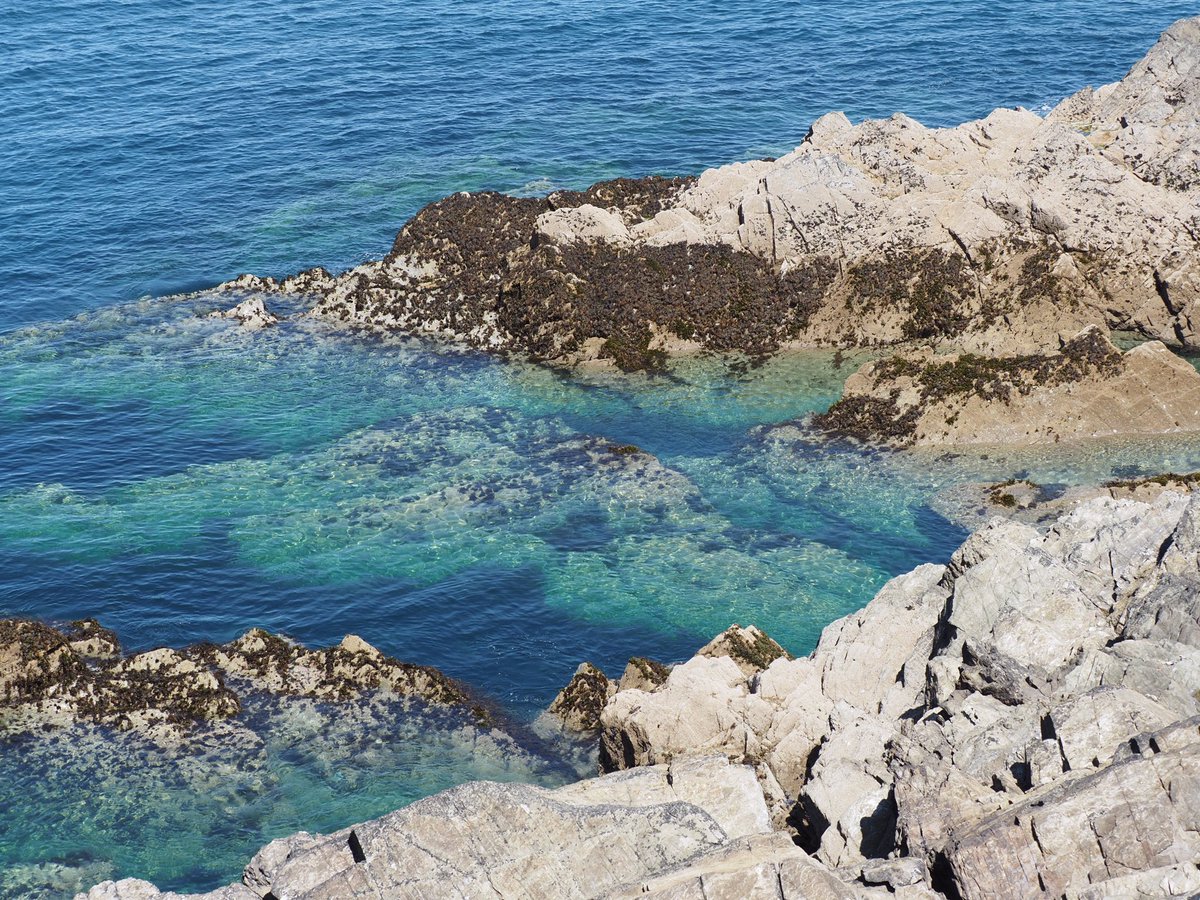 Ça fait bizarre de voyager en #Angleterre et de croiser aucun Français 🤪... Vous voulez pas venir ?