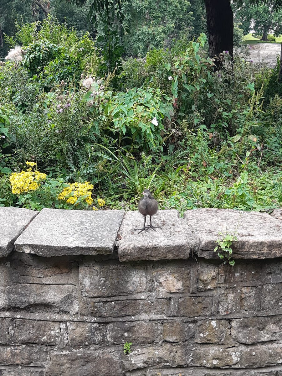 AebalLeisure's tweet image. Bike rides, pool and bird watching, a very busy Thursday 🙌

#busyday #Support #NottinghamSupport #AutismSupport