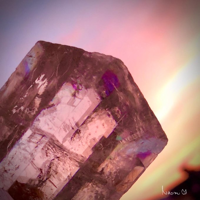 黄昏のtwitterイラスト検索結果