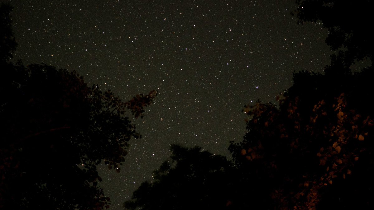 DroiMedia's tweet photo. We haven't had a good opportunity to capture any photos of #Neowise this week, but here's a night sky photo from earlier in the summer that we took on a #camping trip up in #Wisconsin near #NewGlarus ⛺🌌
📸: @jordangoebig 
#astrophotography #tbt #throwbackthursday #photography https://t.co/hhuWrEgNXk