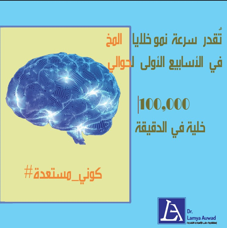 Drlamya's tweet photo. النمو فائق السرعة للجنين يحتاج توفر الغذاء ا��لازم لبناء الخلايا و الأعضاء بشكل سليم #كوني_مستعدة ،   #أمومة #حمل #أمهات #خصوبة # تغذية #طب #توحد #صحة #ولادة #جلوتن #جلوتن_فري https://t.co/5VW0rrTwQO