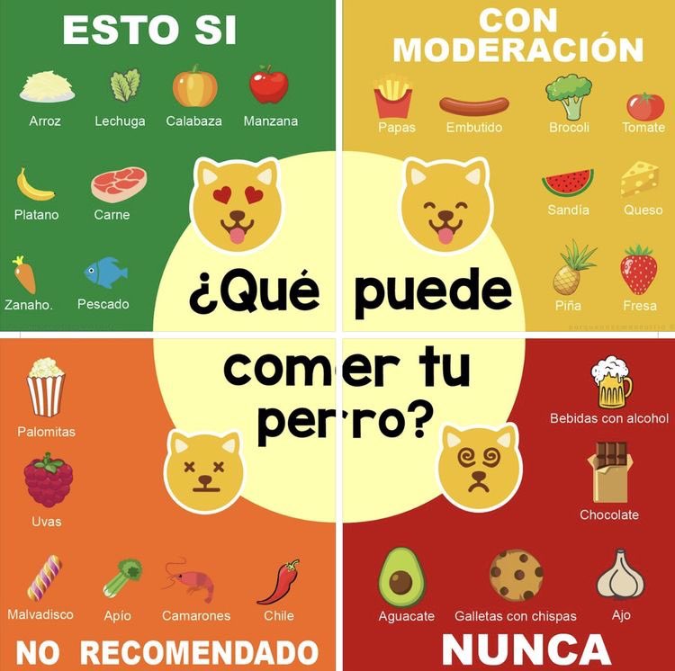 Cosas que puede y no puede coner tu perro!!! #tips #mascotas