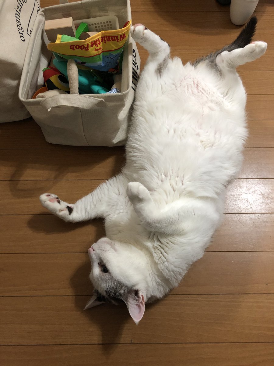 donald0405 (@donald04055) on Twitter photo 