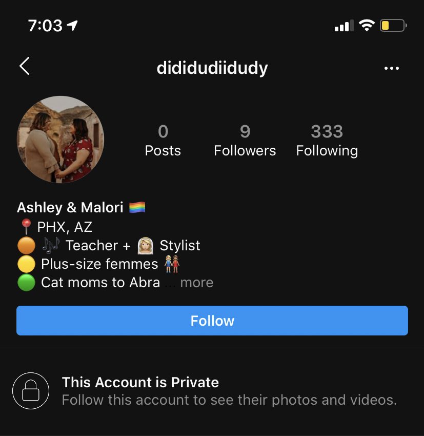 MsAmfunny's tweet photo. The fake account (they have several, for each influencer) https://t.co/lLBZ1vr0FL