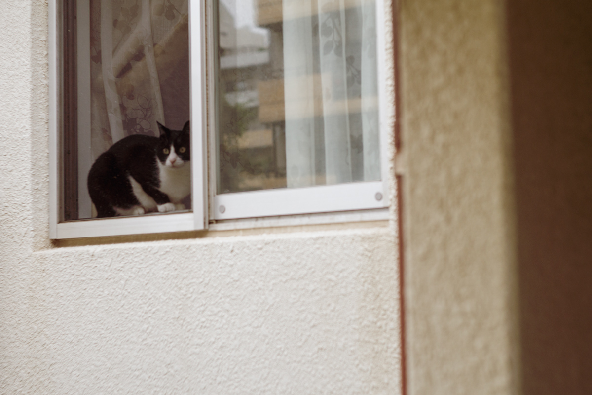 imotech72's tweet photo. 団地
#japanphoto #ILCE6000 #α6000 #apsc #sonycamera #streetphotos #oldrens #オールドレンズ  #単焦点 #単焦点レンズ #Yashinon #Yashica #団地 https://t.co/xN9KZEwgW0