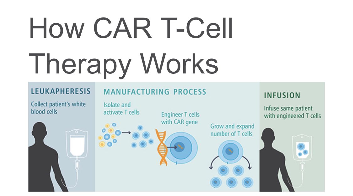 Because I’m an oncologist and can’t help myself let’s chat quickly about  #CARTcells. CAR-T cells are essentially scientists retrofitting your T cells to fight your cancer and represent one of the biggest breakthroughs in cancer care.