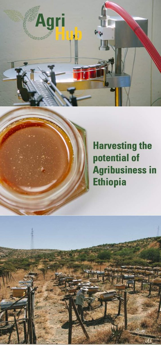 AmbafranceET's tweet photo. The 🇫🇷 French Development Agency, Agence Française de Développement (@AFD_France) and 🇪🇹 Ethiopian Ministry of Finance sign a 8 million euro grant agreement to support agriculture development.

For more details : https://t.co/Q6WViCv5sn https://t.co/TVYmeP00y7