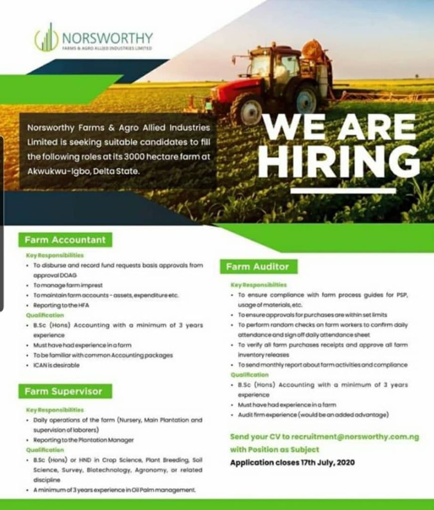 job_openings_ng's tweet photo. #employmentopportunities #graduate #recruiter #vacancy #HRmadam #coronavirus #covid_19 #quarantinelife #stayhomestaysafe #WizkidAt30 #MadeInLagos #thursdayvibes https://t.co/mEyzj1s5Na