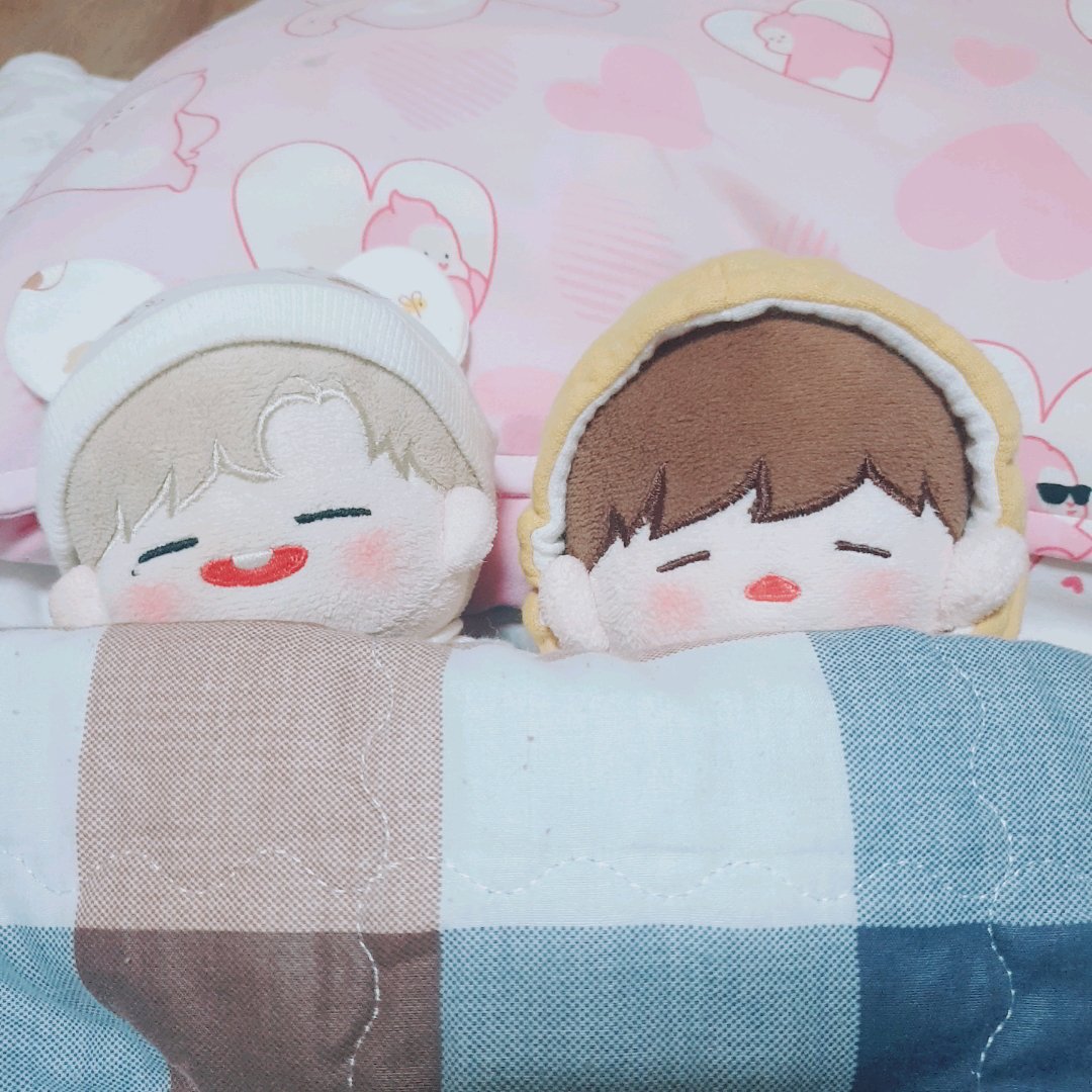 K__D_961210's tweet photo. 울애기들 https://t.co/uLlcys5Mx9