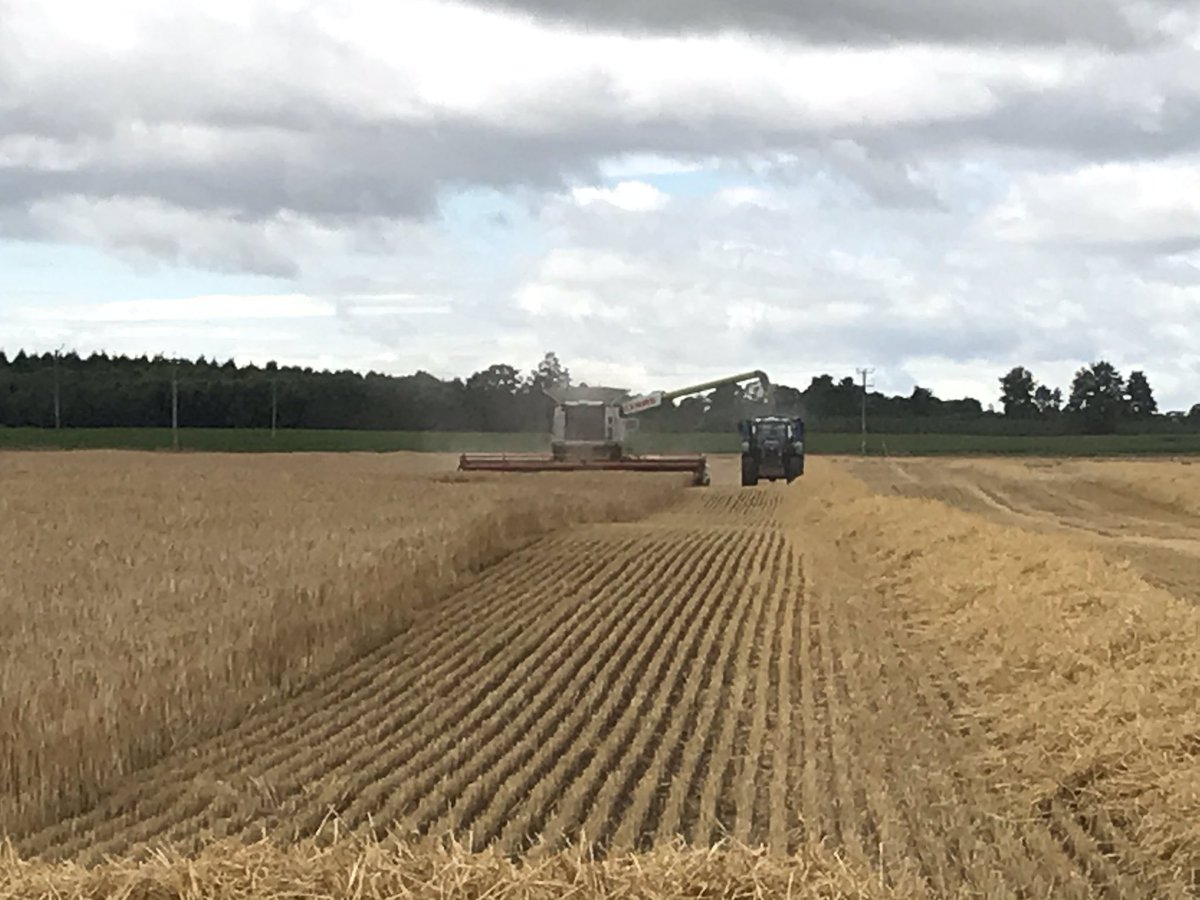 🎺 #harvest20 is go go go!