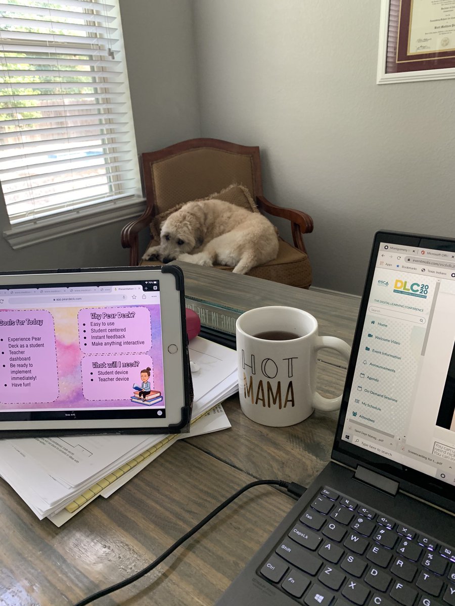 mrspetillo's tweet photo. More tea, tech teaching and Scooby this beautiful Thursday. #6tech  Looking forward to learning more about @PearDeck https://t.co/R7elibFU0F