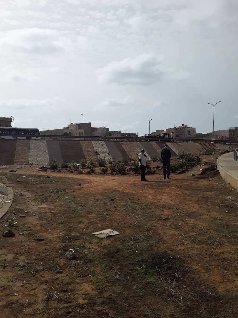 JCI_Senegal's tweet photo. Une demi-journée de nettoyage et de reboisement d'une partie du #PontSenegalEmergent organisé par le @Consor_SN_AYC & @jci_senegal en collaboration avec la commune de la #PatteD'oie. Ensemble pour un environnement sain. @BandaDIOP_off @SohamElWardini @MULHPSenegal @UNESCO_Dakar https://t.co/9tXRNVucTG