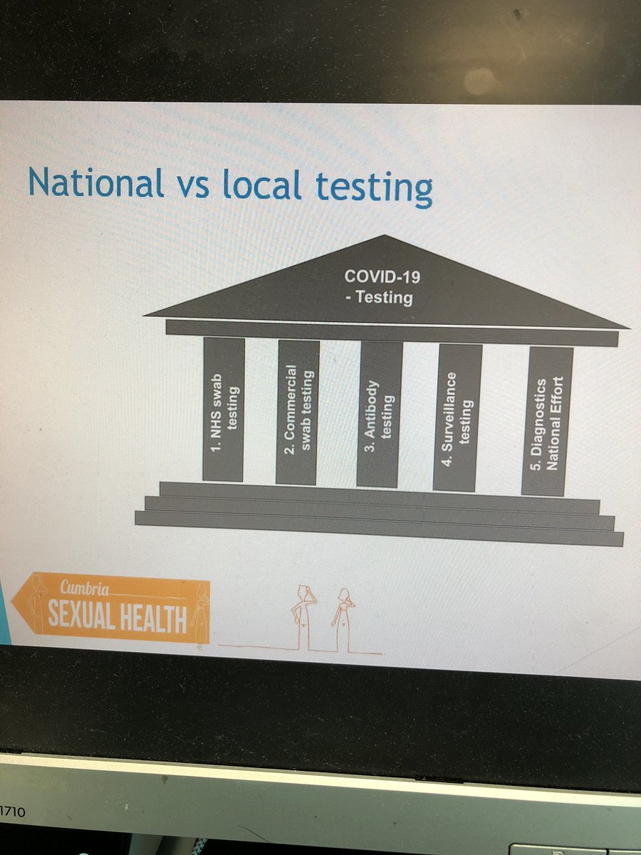BASHH_UK's tweet photo. Current government “pillars” for NHS COVID-19 PCR testing #virtualBSM https://t.co/B3kDWE90pv