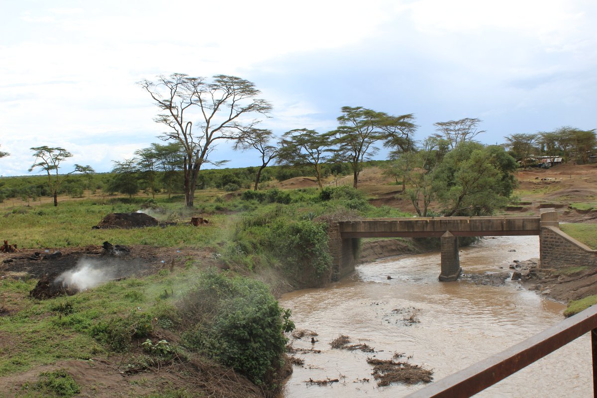 Here is the Northern Ewaso Ng'iro in #Kenya after heavy rains (Jan 2016) and again in March 2016. Notice anything missing?#Freshwater #Erosion #Charcoal #RiparianVegetation