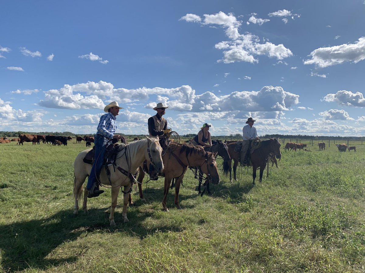 chuiko2's tweet photo. Favourite summer days. #goodtimes #lotslaughs #goodfood #greatpeople #AgMoreThanEver #branding20 #saskbeef https://t.co/0Djg2trorZ