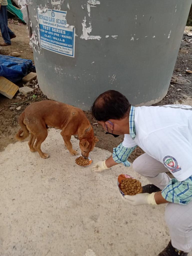 MoveTheWorldIN's tweet photo. Over 2000 stray animals have been provided with food and water in North Delhi. This was made possible with the support of NDMC. But we need your support too. Feed stray animals in your area.
#COVID19 #dogs #straydogs #volunteers #supporters #betterlivesfordogs #DontForgetThem https://t.co/PtqKJU6XKA