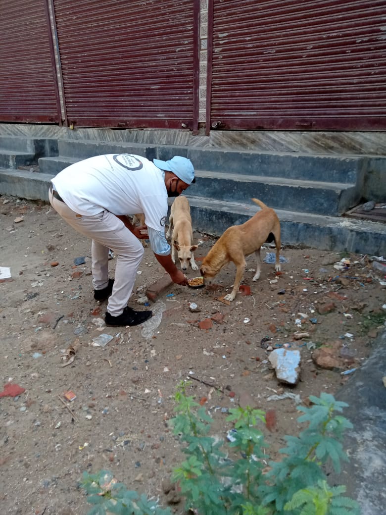 MoveTheWorldIN's tweet photo. Over 2000 stray animals have been provided with food and water in North Delhi. This was made possible with the support of NDMC. But we need your support too. Feed stray animals in your area.
#COVID19 #dogs #straydogs #volunteers #supporters #betterlivesfordogs #DontForgetThem https://t.co/PtqKJU6XKA