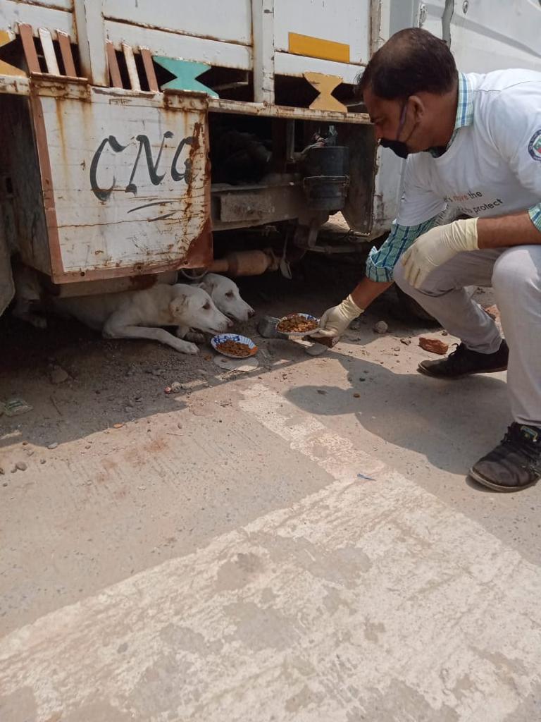 MoveTheWorldIN's tweet photo. Over 2000 stray animals have been provided with food and water in North Delhi. This was made possible with the support of NDMC. But we need your support too. Feed stray animals in your area.
#COVID19 #dogs #straydogs #volunteers #supporters #betterlivesfordogs #DontForgetThem https://t.co/PtqKJU6XKA